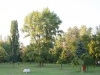 Csepeli Strandfürdő - füves napozópark
