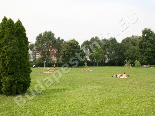 Paskál Strandfürdő - füves napozó