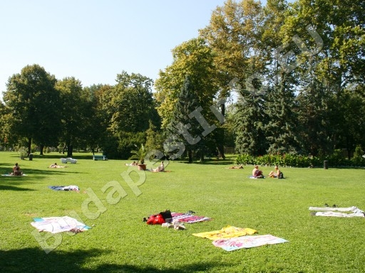 Római Strandfürdő - napozópark