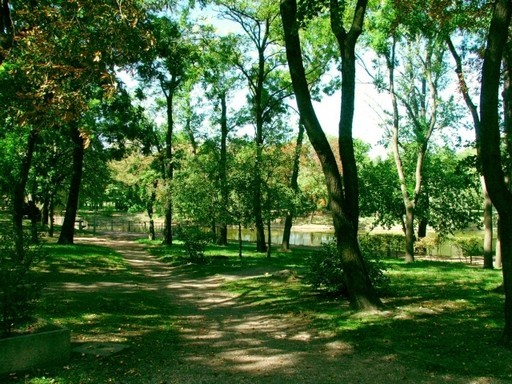 2. VilágVeleje Nyár | kép forrása: www.orczypark.hi