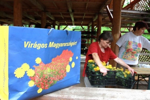 Virágokat osztott a XVIII. kerületi önkormányzat a Bókay-kertben | kép forrása: www.bp18.hu