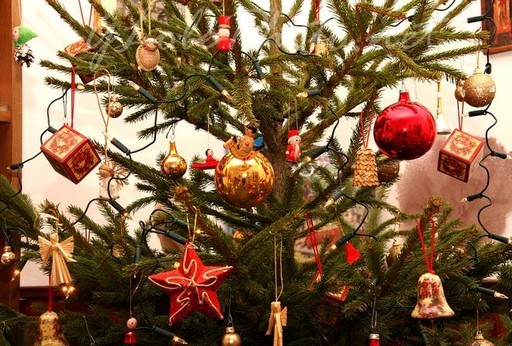 Ingyen elszállítja a használt karácsonyfákat az FKF Zrt. | kép forrása: www.hegyvidek.hu