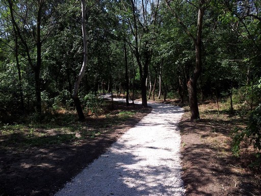 Tornapálya és tanösvény létesült Csepelen, az Akácfa utcai kiserdőben | kép forrása: www.csepel.hu