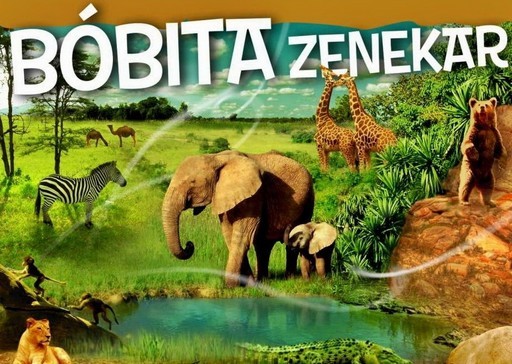 Képzeletünk szárnyán - Bóbita zenekar