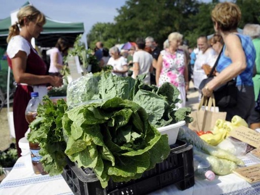 Termelői piac nyílt a Pestszentimrei Sportkastély közelében | kép forrása: www.bp18.hu