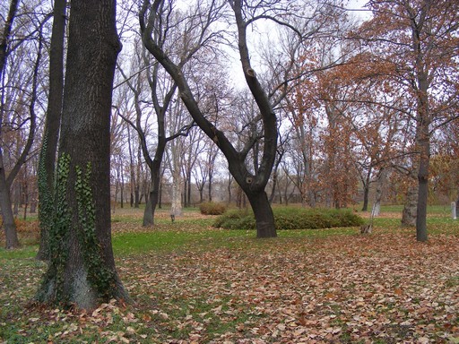 Hamarosan elkezdődik a rákosmenti Népkert felújítása