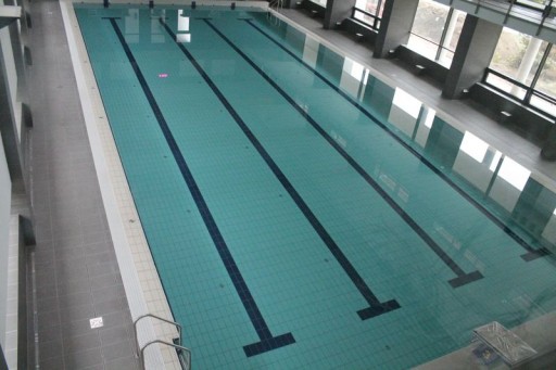 A vízben landolt a polgármester a Halassy Olivér Sportközpont avatásán | kép forrása: www.haloujpest.hu