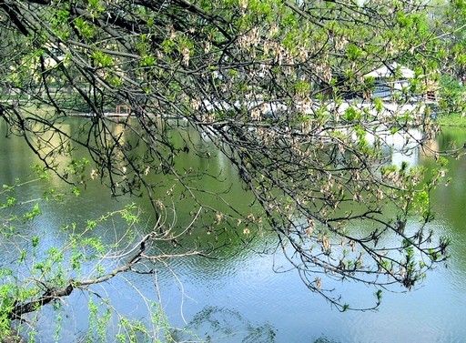 Állami fenntartásba került a józsefvárosi Orczy-park | kép forrása: wikipedia.org / Osvát András