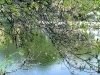 Állami fenntartásba került a józsefvárosi Orczy-park | kép forrása: wikipedia.org / Osvát András
